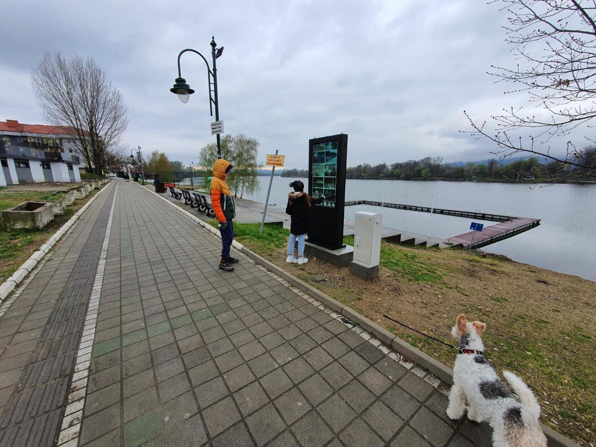 Andjelka A26 Leilighet Veliko Gradište Eksteriør bilde